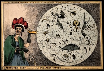 "Monster Soup", by William Heath (1828) depicting a magnified drop of Thames water