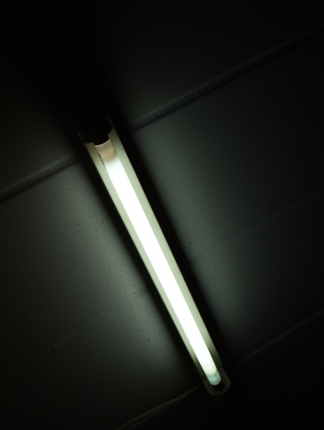 Fluorescent Tube