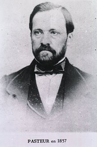 Louis_Pasteur