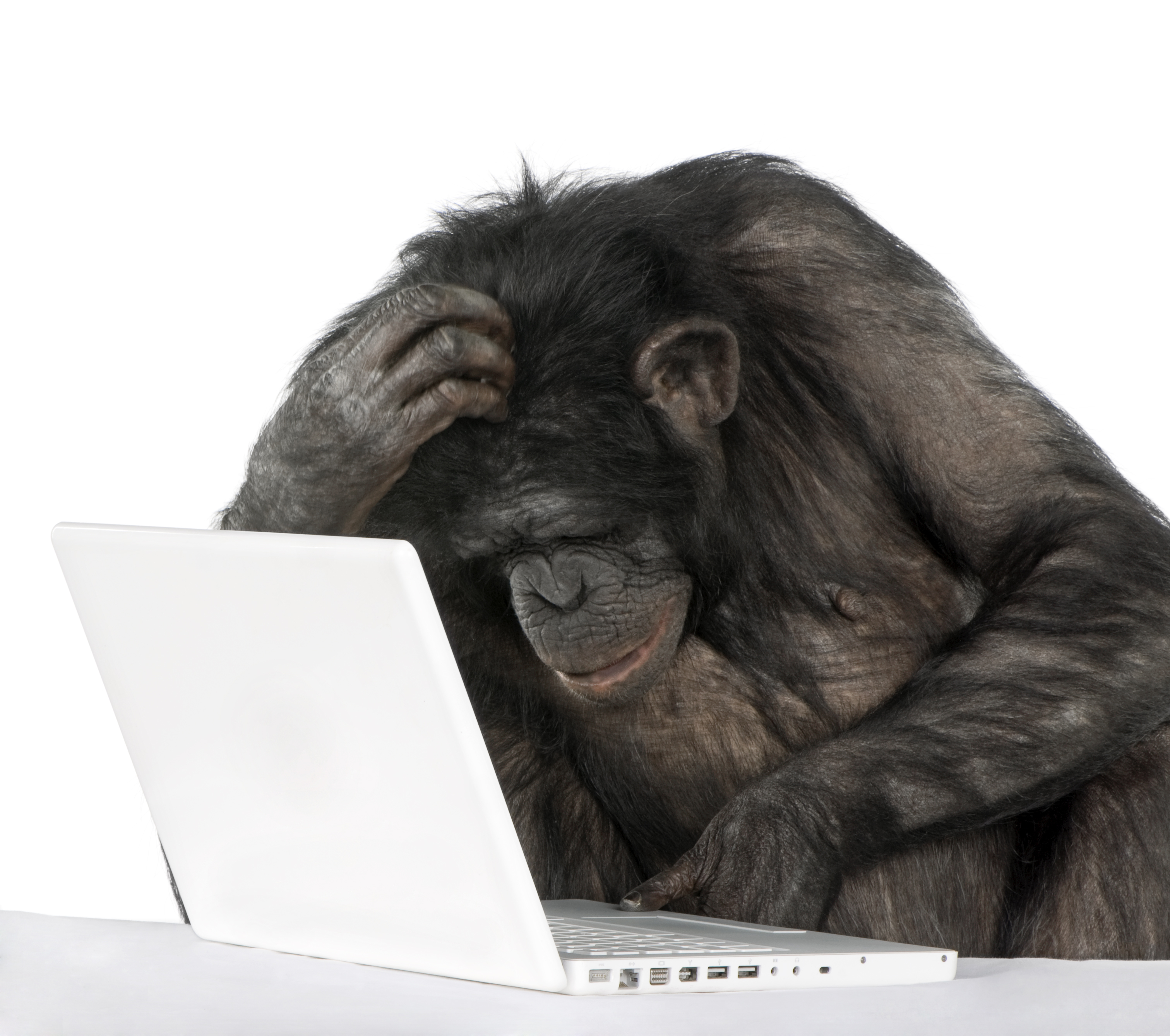 Typing monkey