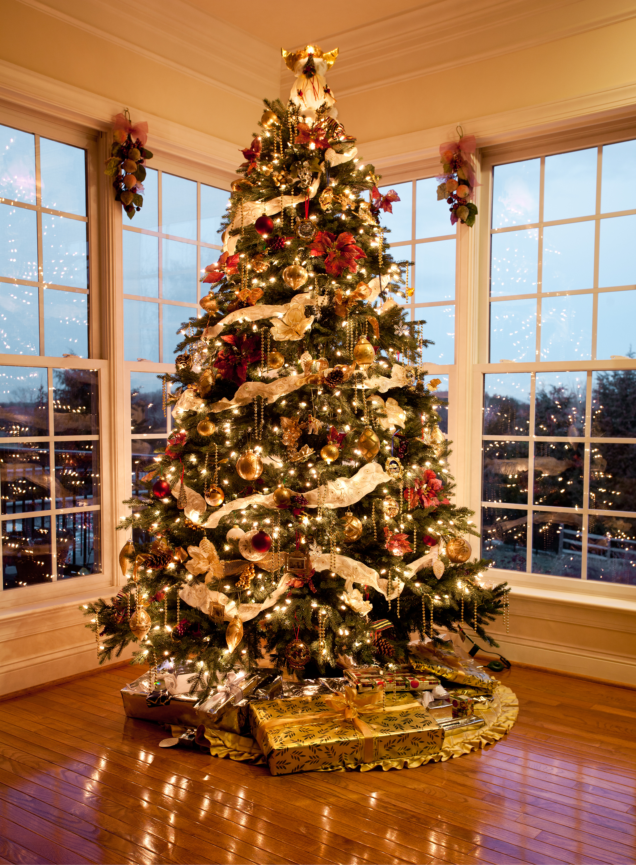 Fox Urine and Christmas Tree Theft Picture Of Christmas Tree