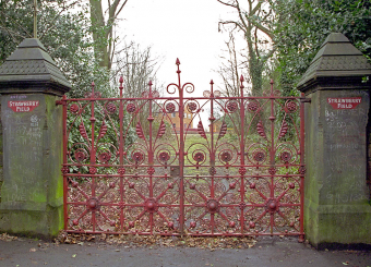 Strawberryfield