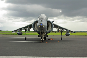 Harrier