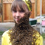 bee_beard_3