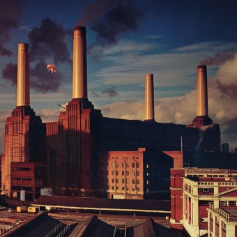 pink-floyd-animals