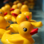 rubber-duckie