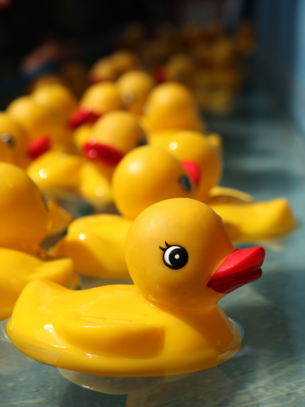 rubber-duckie