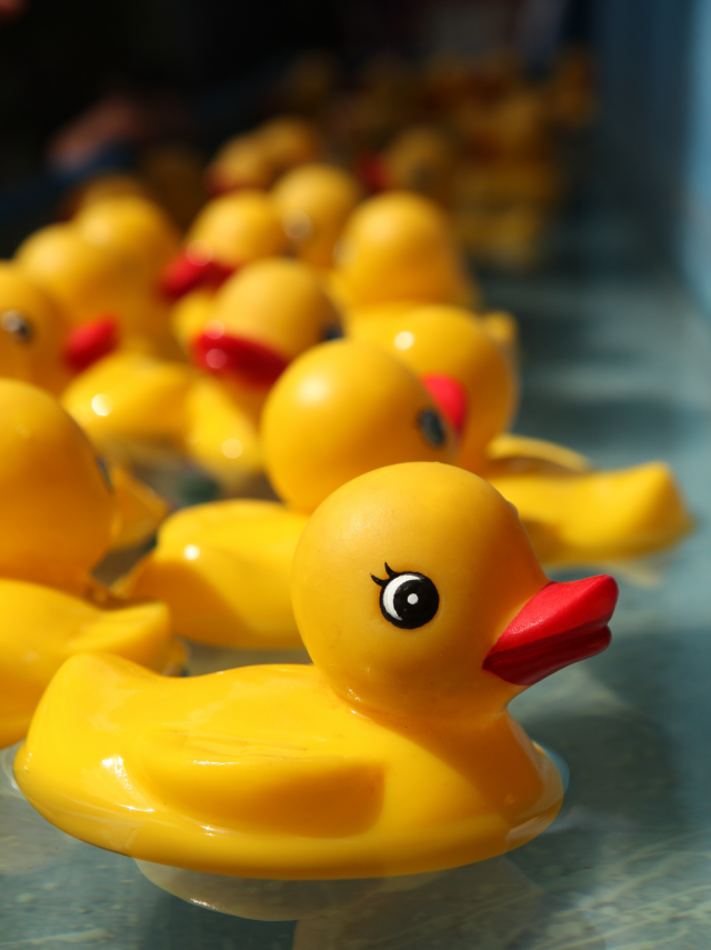 Details about   Rubber Duck Farmer Rubber Ducky Bathduck Rubber Duckie 