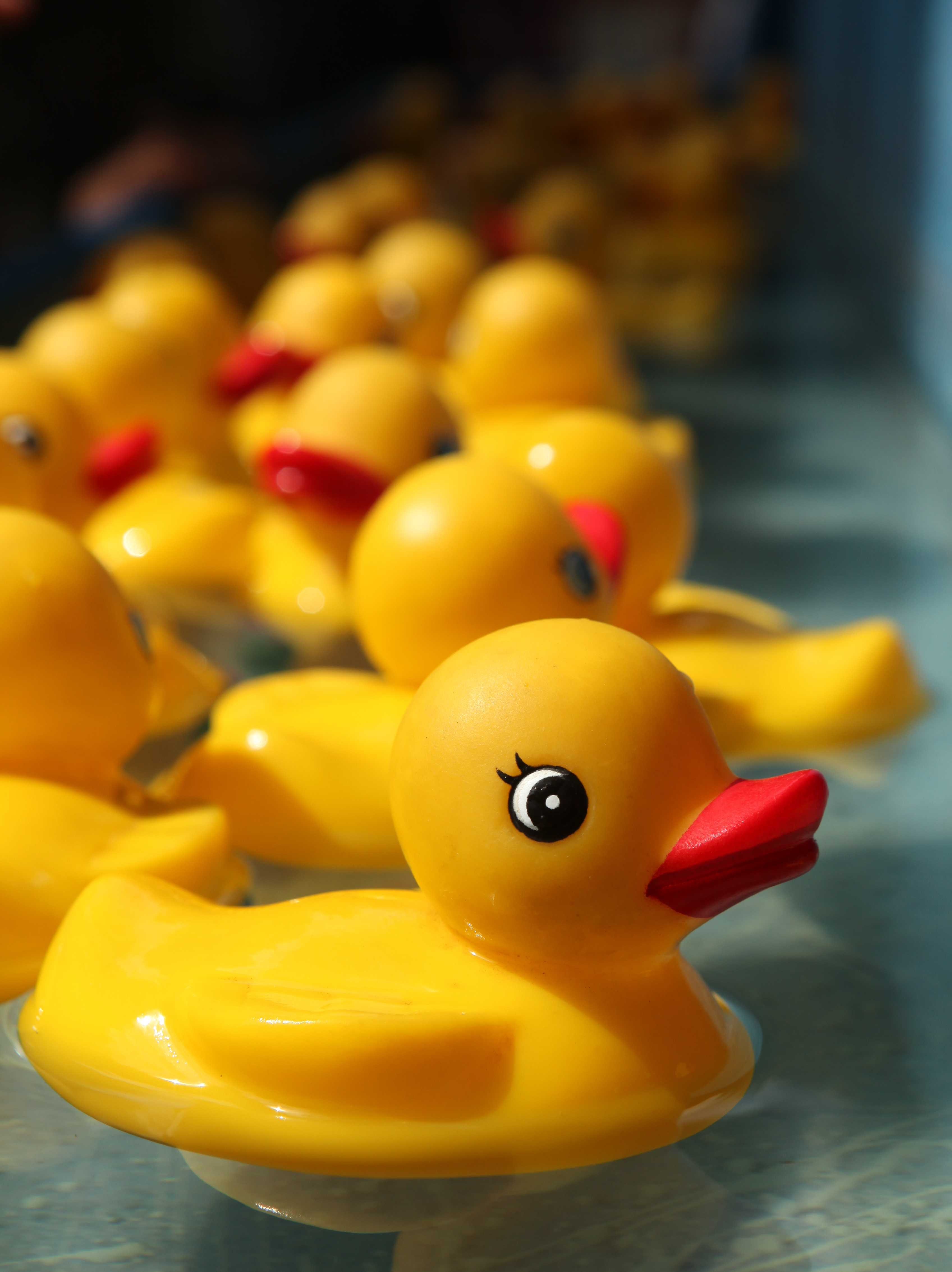 rubber duck bath toy