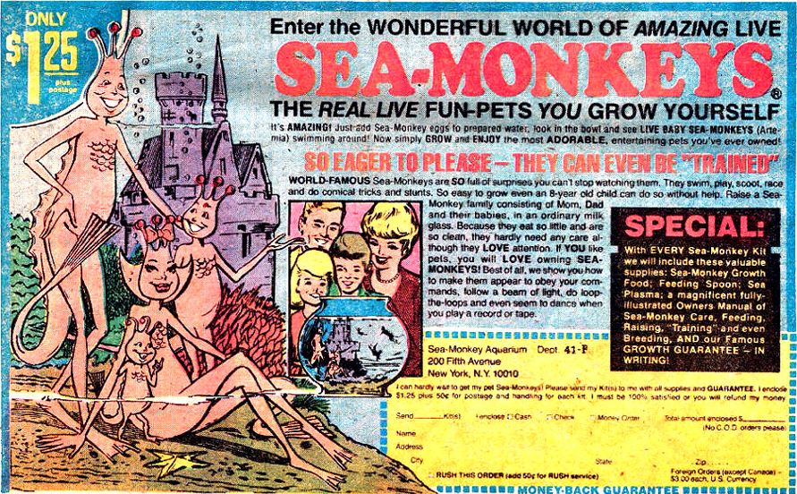 How big do sea monkeys grow?