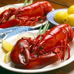 Why-lobsters-and-crabs-turn-red-when-cooked