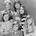 the_partridge_family-340x418