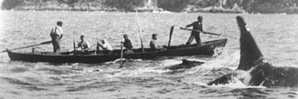 old-tom-and-whalers