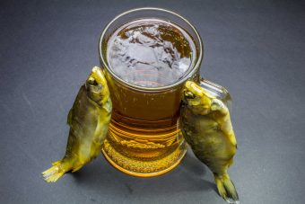 fish-and-beer