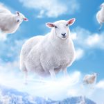 flying-sheep