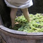 woman-pressing-grapes-340x470