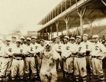 chicago-cubs