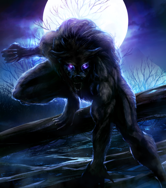 The story and meaning of the song 'Night of the Werewolves