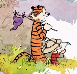 Image from Exploring Calvin and Hobbes - An Exhibition Catalogue