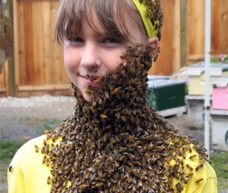 Bee Beard