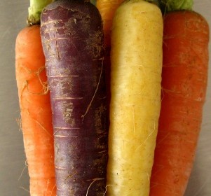 Multi-colored carrots