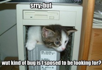 Server Bugs