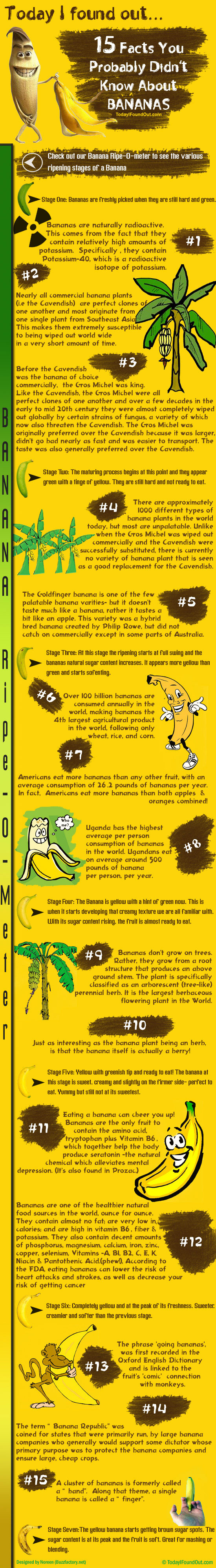 15 Facts You Probably Didn't Know About Bananas
