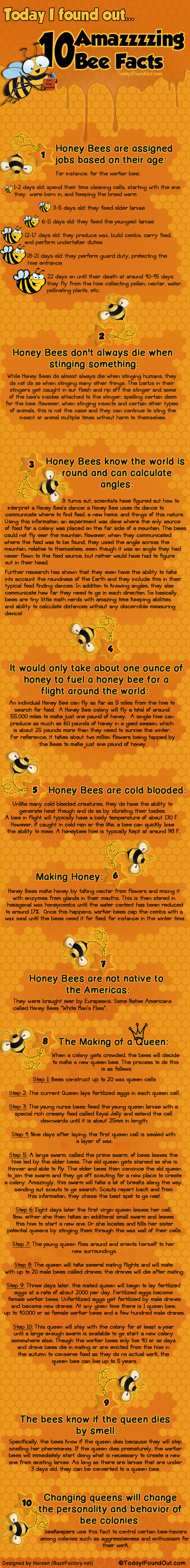 10 Amazzzzing Bee Facts Infographic
