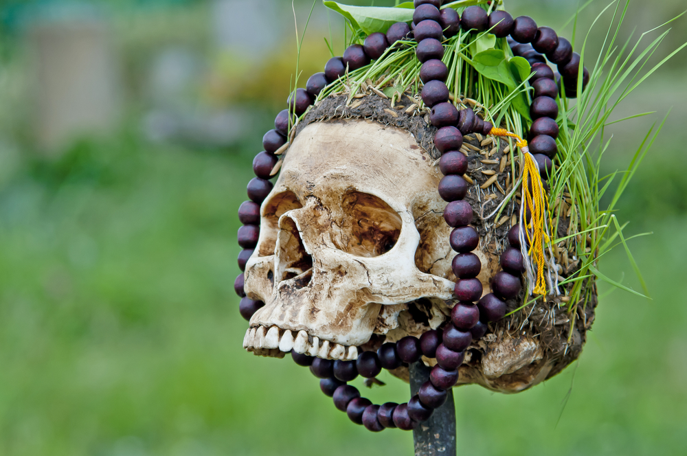 Is Cannibalism Unhealthy or Just Awful?