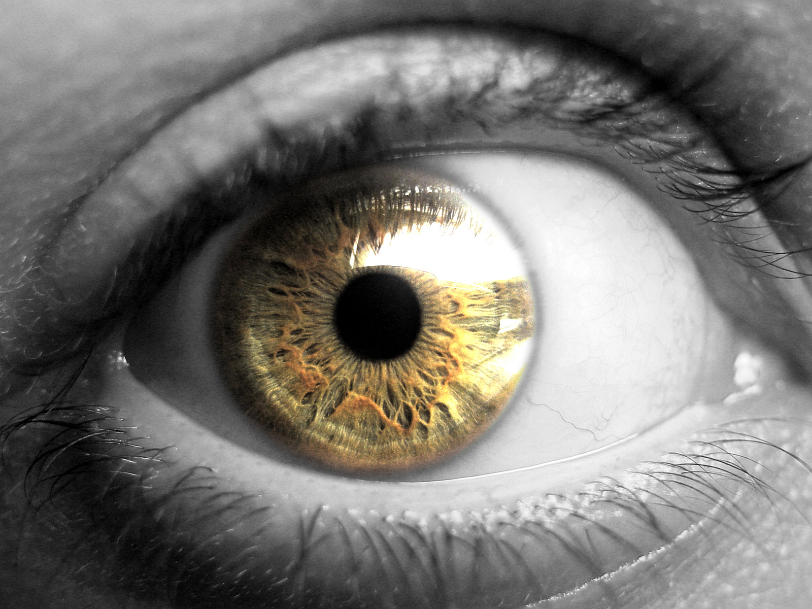 Золотые глаза 6. Золотые глаза. Зрачок. Золотые глаза у людей. Съемка глаз.