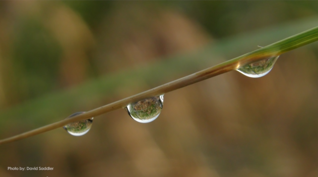 How Rain Drops Form