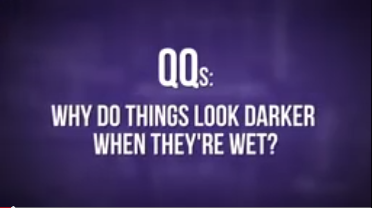 Why Things Look Darker When They're Wet