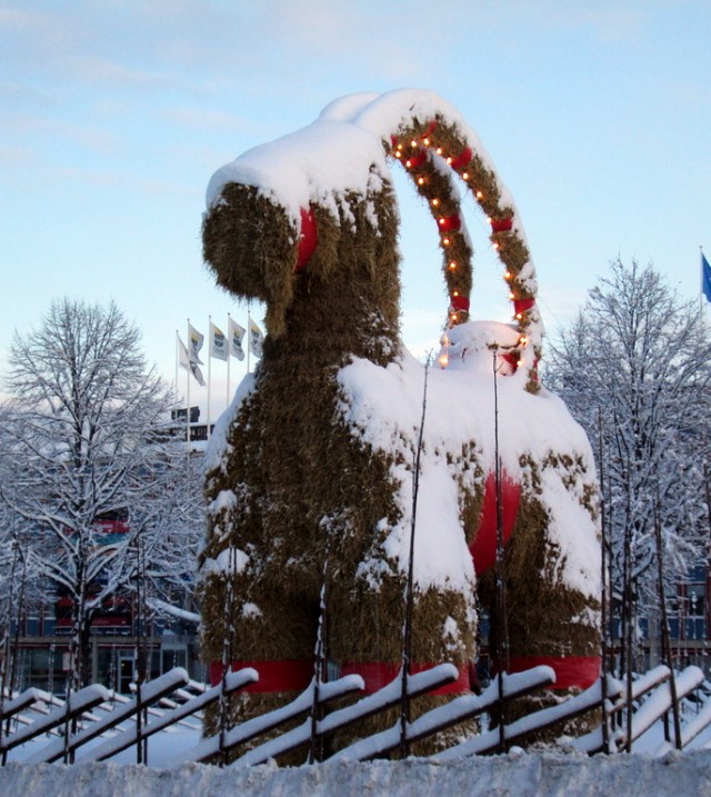 A Christmas Oddity The Giant Straw Goat in Sweden That People Try to