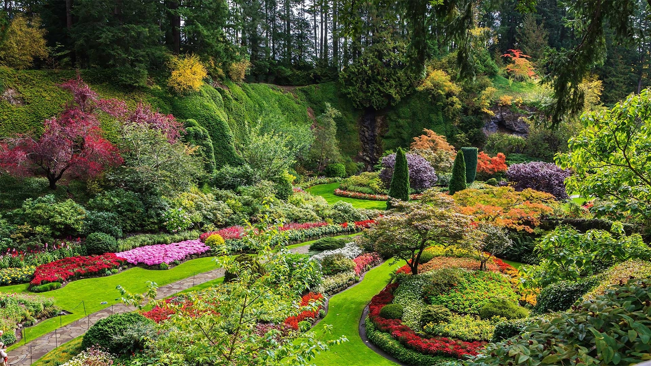 Couch Potatoes, Why Red Meat Turns Brown When Cooking, Where Lincoln's