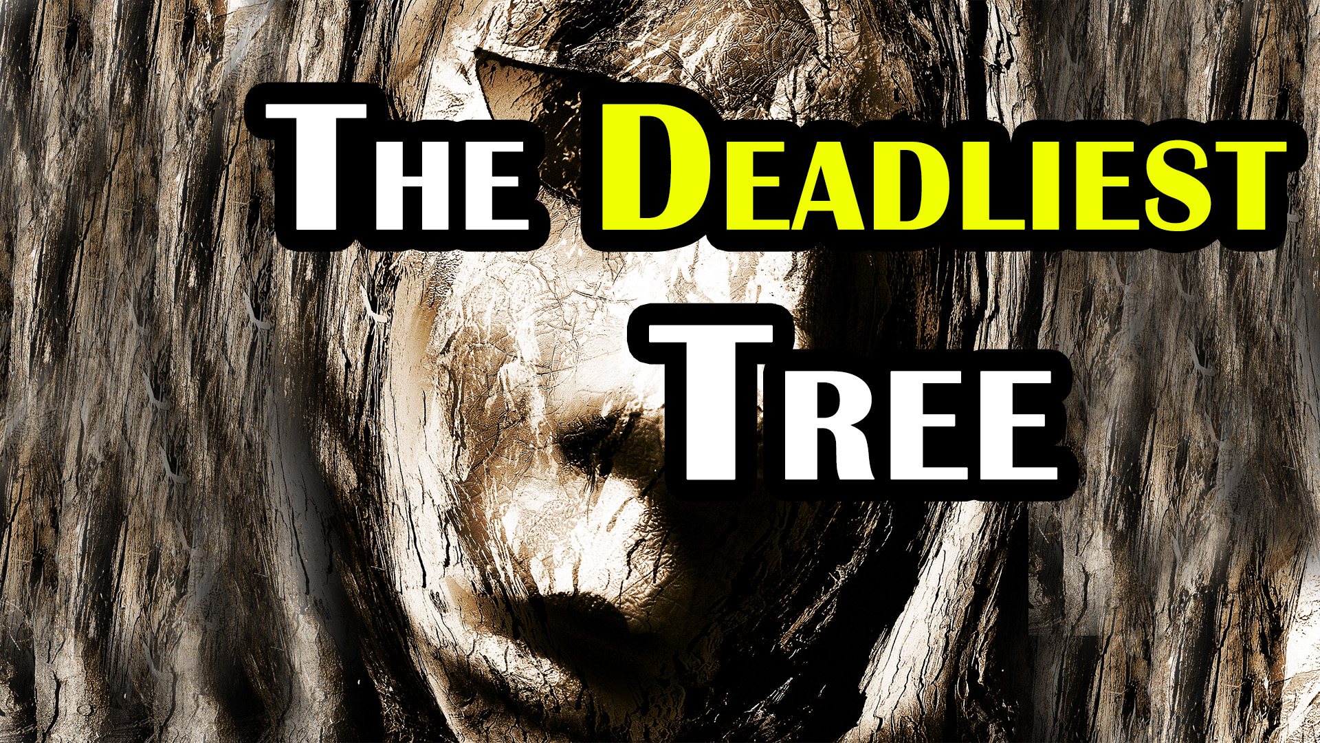 The world s most dangerous tree
